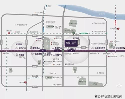 石家庄龙湖爆料事件视频,揭露背后惊人真相