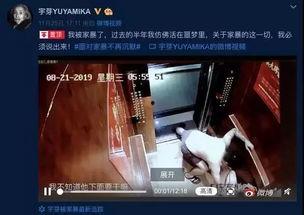 网红爆料家暴视频播放在线观看,网络直播下的家庭暴力真相